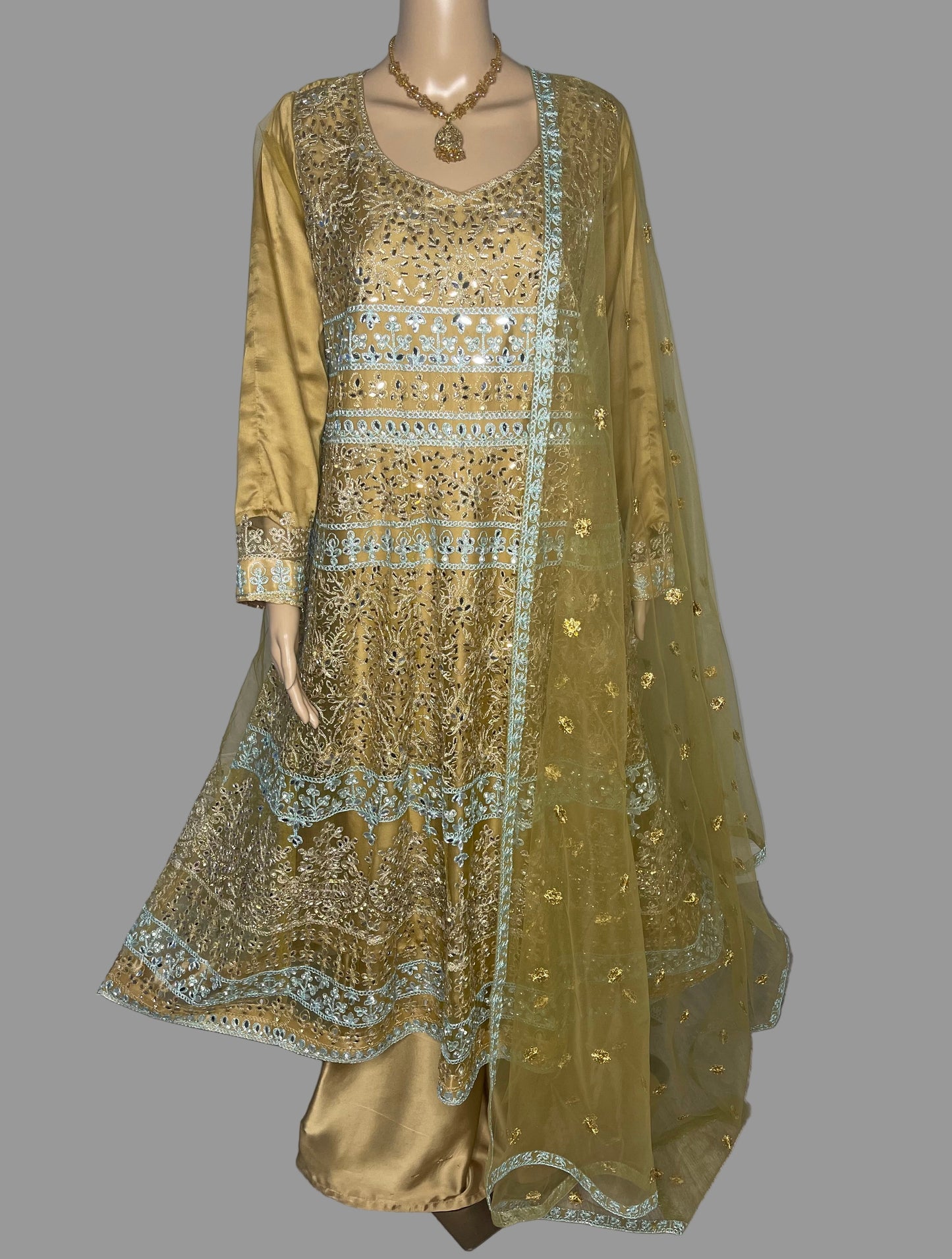 Pakistani Indian Designer Partywear Wedding Dress