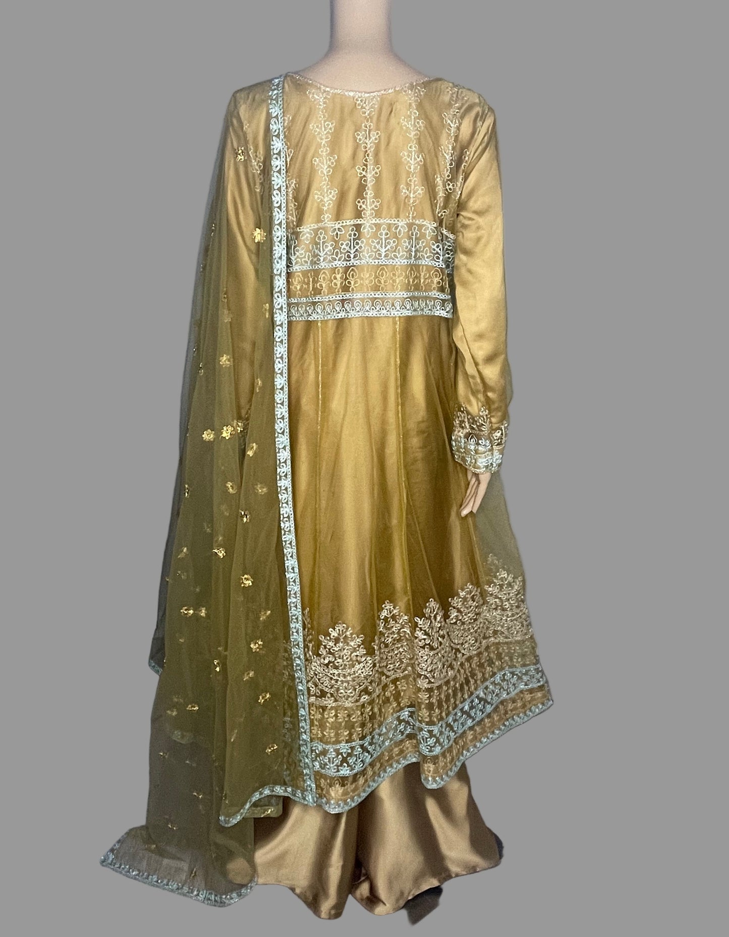 Pakistani Indian Designer Partywear Wedding Dress